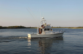 Deep Sea Fishing Deep Sea Fishing