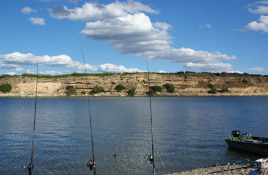 Flyfishing Flyfishing at River Ebro