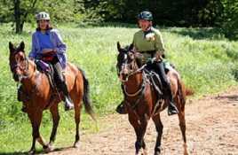 Horse riding in Barcelona